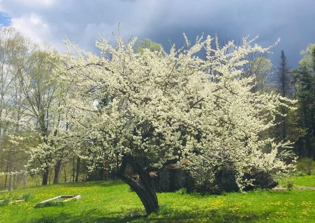 1422 Cabot Road, Woodbury, VT 05681