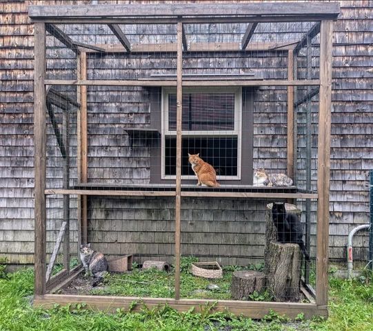 1422 Cabot Road, Woodbury, VT 05681