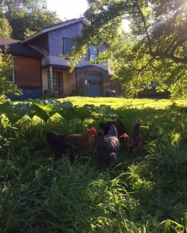 1422 Cabot Road, Woodbury, VT 05681