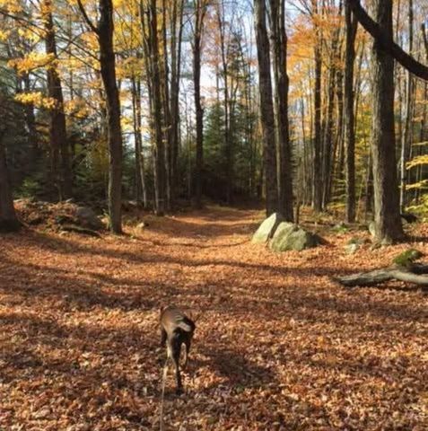 1422 Cabot Road, Woodbury, VT 05681