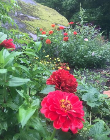 1422 Cabot Road, Woodbury, VT 05681