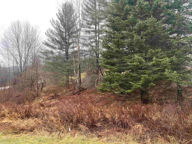 C2 Collins Hill, Johnson, VT 05661