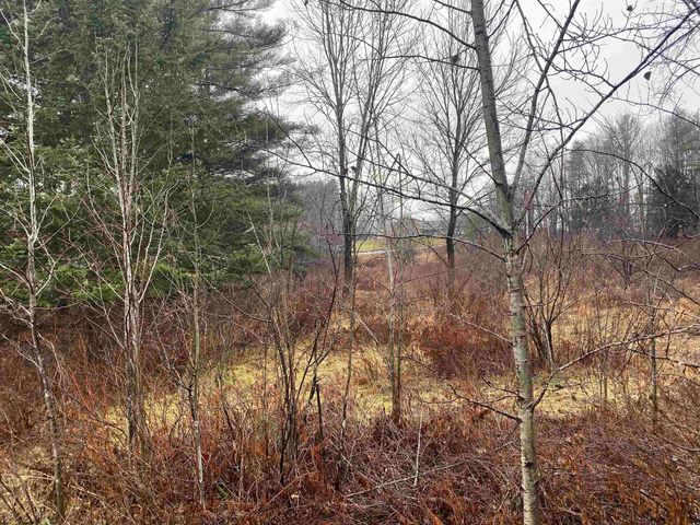 C2 Collins Hill, Johnson, VT 05661