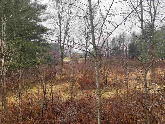 C2 Collins Hill, Johnson, VT 05661
