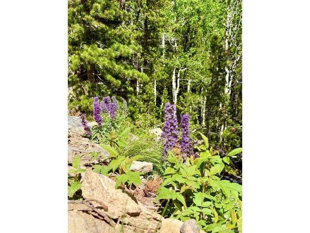 5 Roosevelt Ridge, Black Hawk, CO 80422