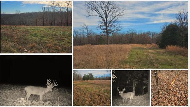 79.30 Acre Styles Road, Noel, MO 64854