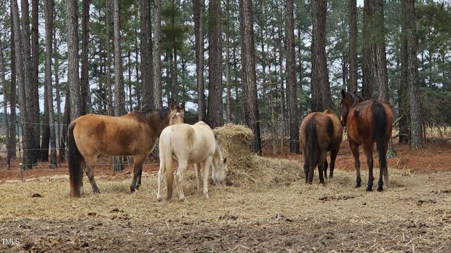 2621 Davistown Road, Wendell, NC 27591