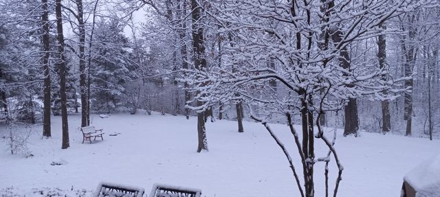 3048 Brampton Lane, Dyer, IN 46311