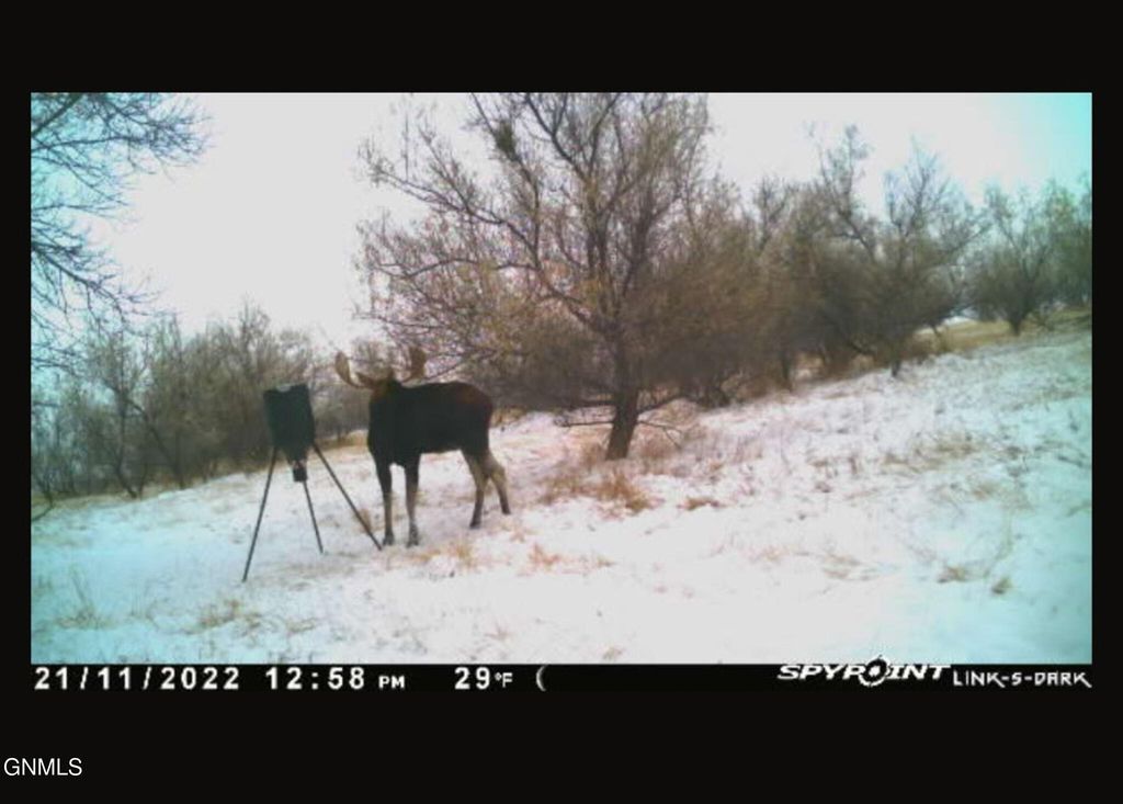 679 38th Avenue NE, Bowdon, ND 58418 photo 174