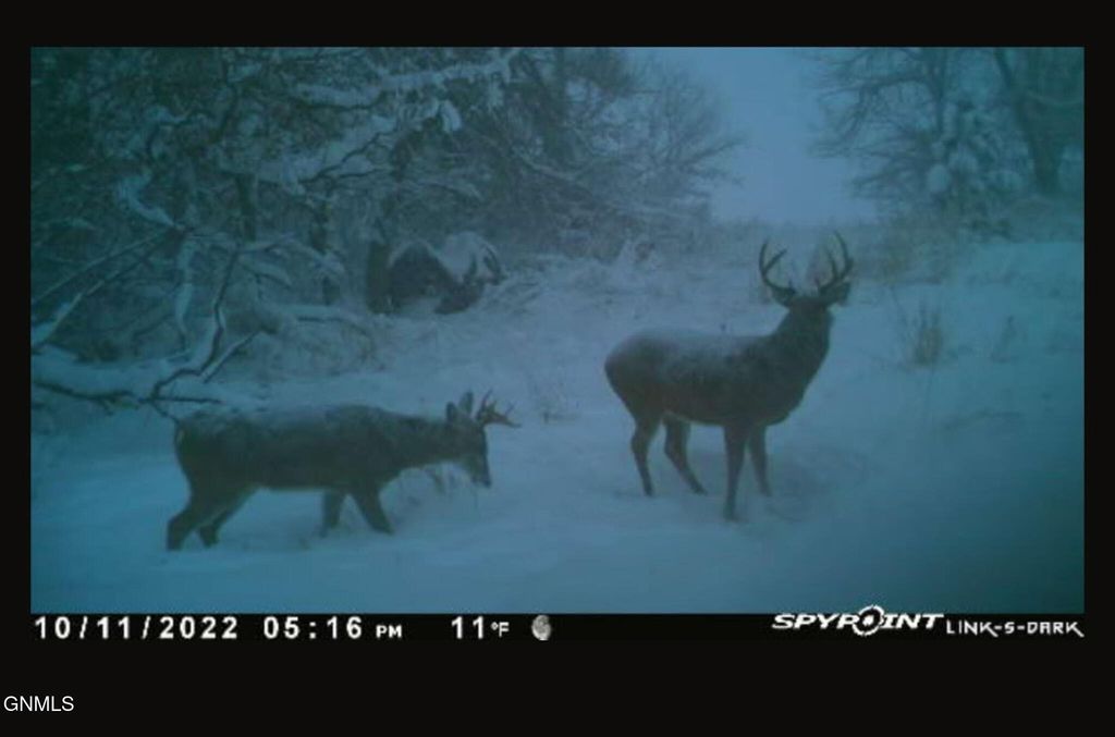 679 38th Avenue NE, Bowdon, ND 58418 photo 175