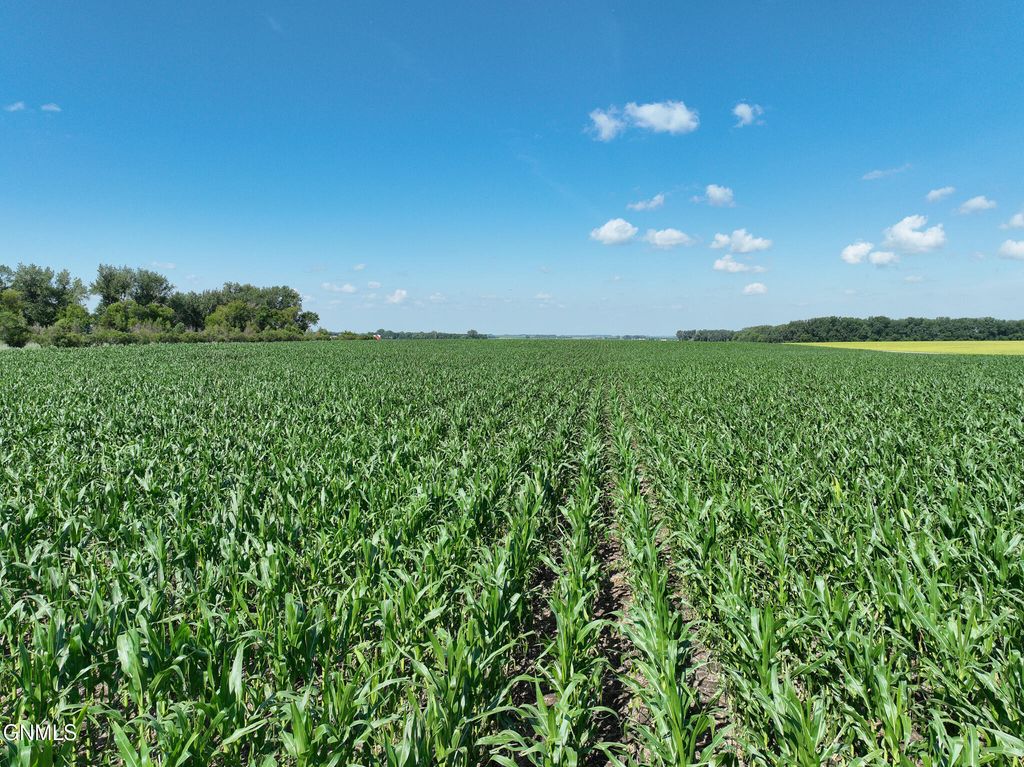 679 38th Avenue NE, Bowdon, ND 58418 photo 179