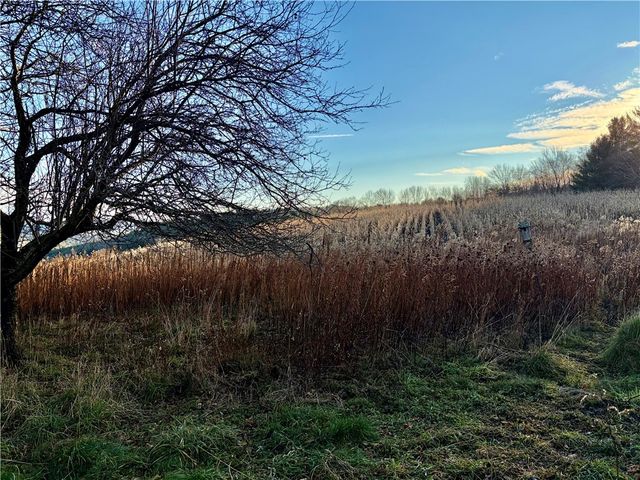 196 Short Crumhorn Road, Maryland, NY 12116