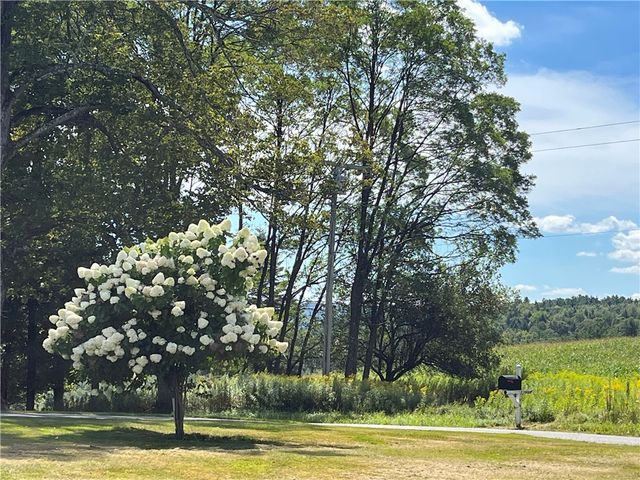 196 Short Crumhorn Road, Maryland, NY 12116