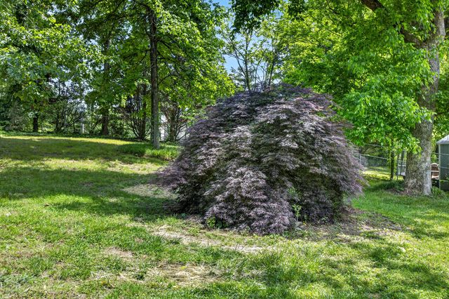 8920 Birchwood Pike, Harrison, TN 37341