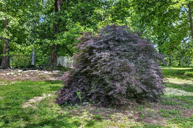 8920 Birchwood Pike, Harrison, TN 37341
