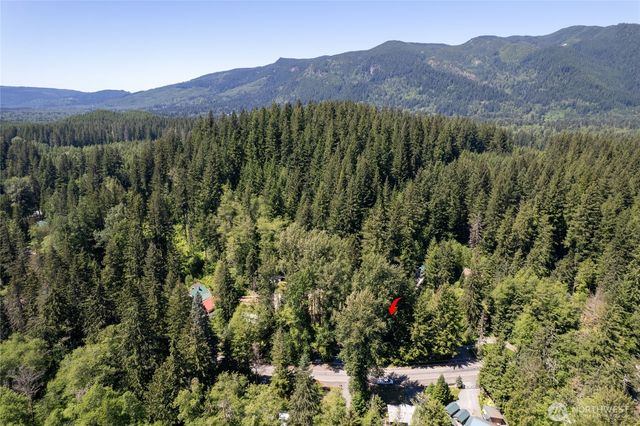 146 Paradise Drive, Ashford, WA 98304
