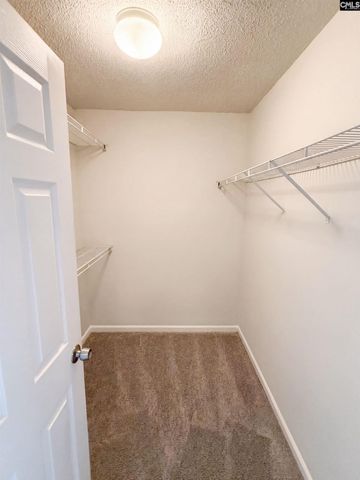 272 Cape Jasmine Way, Lexington, SC 29073