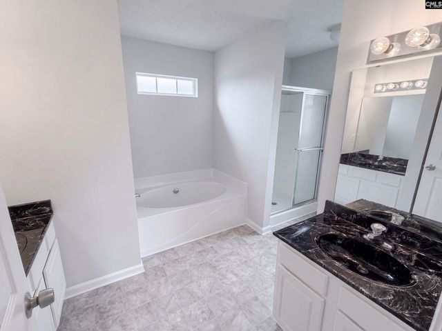 272 Cape Jasmine Way, Lexington, SC 29073