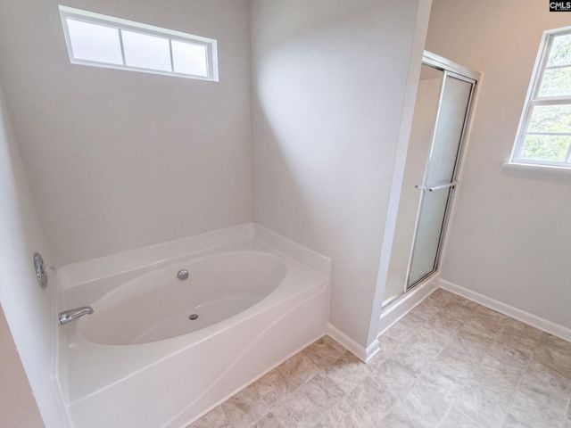 272 Cape Jasmine Way, Lexington, SC 29073