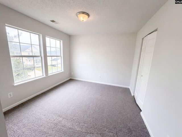 272 Cape Jasmine Way, Lexington, SC 29073