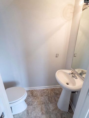 272 Cape Jasmine Way, Lexington, SC 29073
