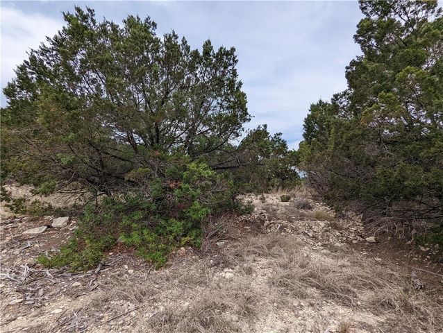19712 Tyler TRL, Lago Vista, TX 78645
