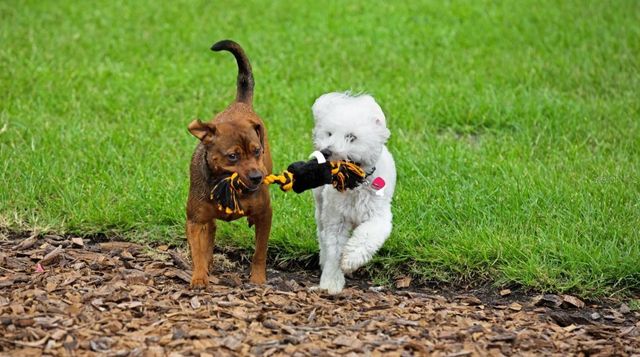 57 ENCLAVE AVENUE, Palm Coast, FL 32164