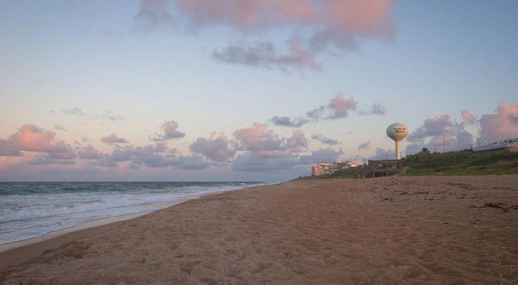 Image 32 of property listing at 57 ENCLAVE AVENUE, Palm Coast, FL 32164