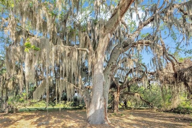 4610 OAK COVE LANE, Orlando, FL 32806