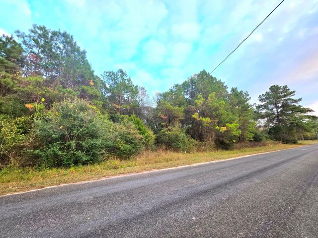 16677 Whippoorwill Road, Navasota, TX 77868