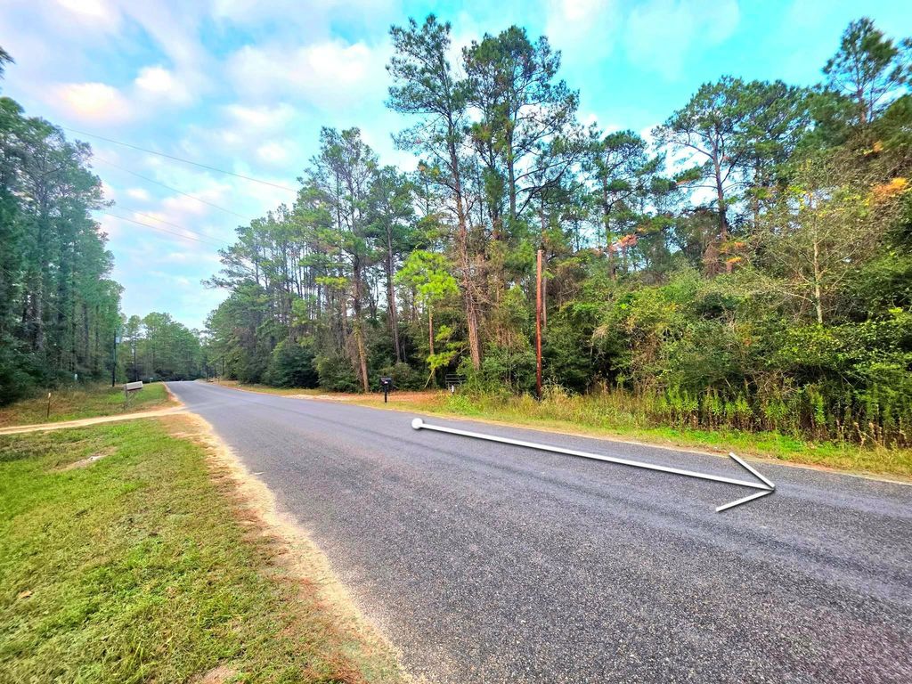 16677 Whippoorwill Road, Navasota, TX 77868