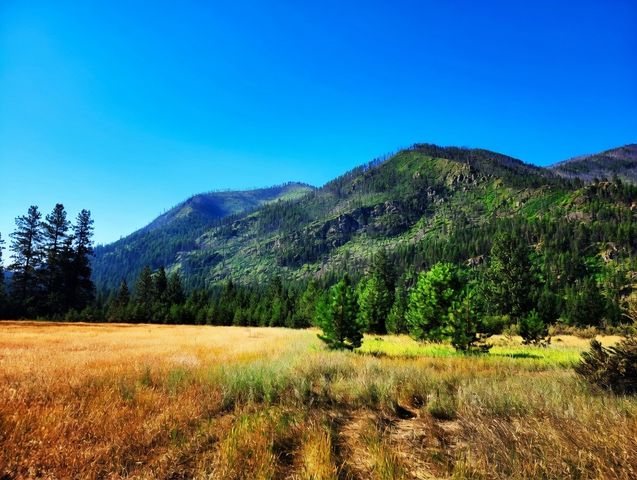 Lot 4 Harbine Ranch Road, Plains, MT 59859
