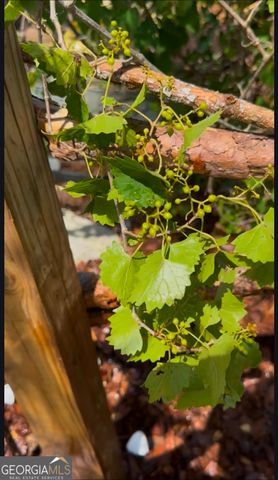 21 Fox Path, St. Marys, GA 31558