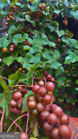 21 Fox Path, St. Marys, GA 31558