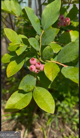 21 Fox Path, St. Marys, GA 31558