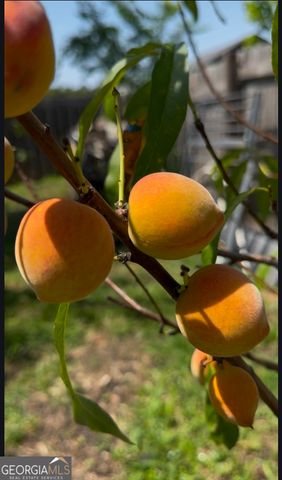 21 Fox Path, St. Marys, GA 31558