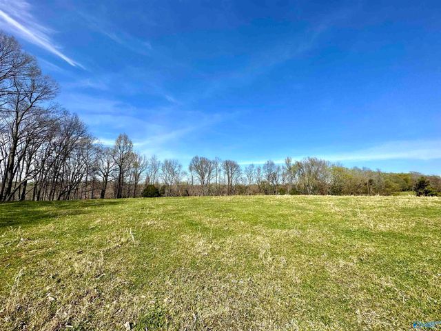 1759 Ardmore Hwy, Taft, TN 38488