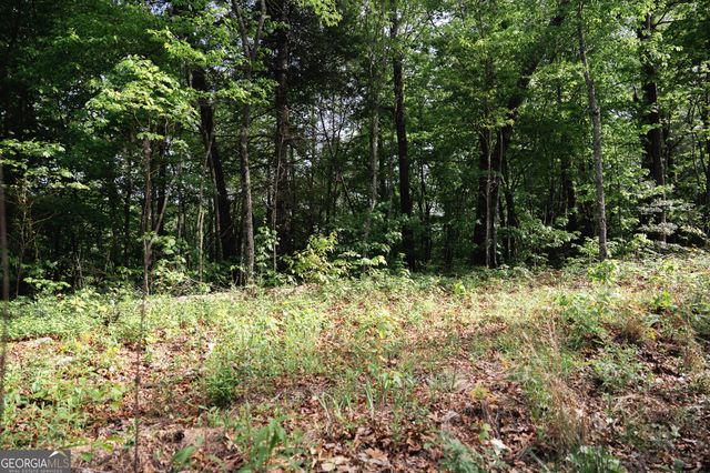 TRACT 1 Century Lane, Blue Ridge, GA 30513