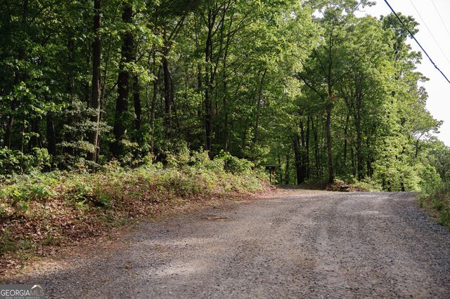 TRACT 1 Century Lane, Blue Ridge, GA 30513
