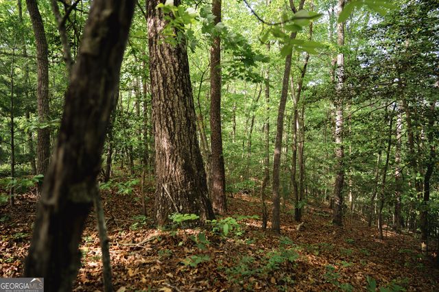 TRACT 1 Century Lane, Blue Ridge, GA 30513