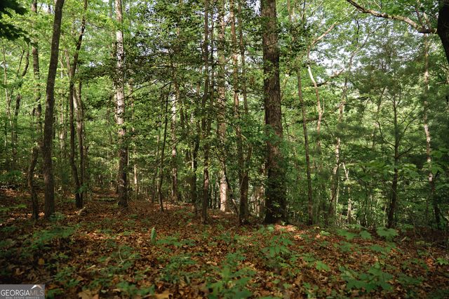TRACT 1 Century Lane, Blue Ridge, GA 30513