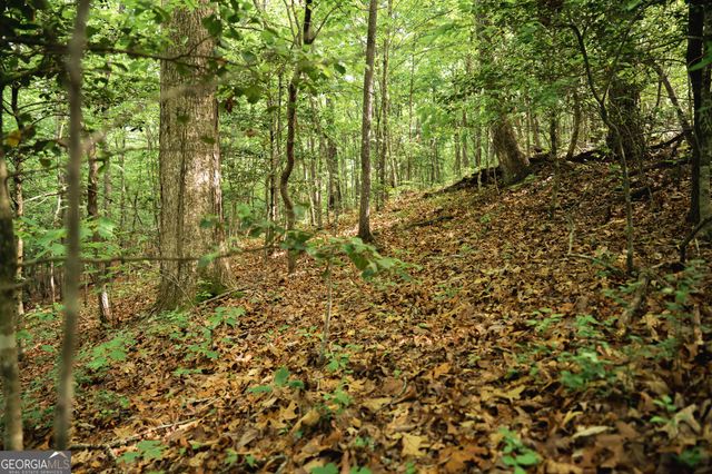 TRACT 1 Century Lane, Blue Ridge, GA 30513