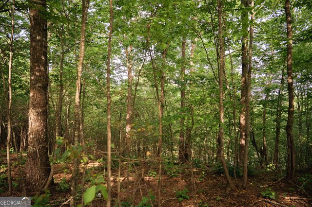 TRACT 1 Century Lane, Blue Ridge, GA 30513