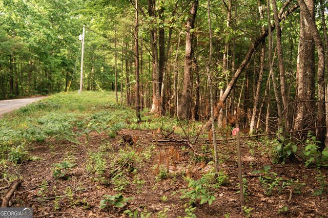 TRACT 1 Century Lane, Blue Ridge, GA 30513