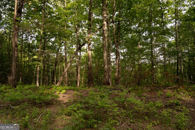 TRACT 1 Century Lane, Blue Ridge, GA 30513