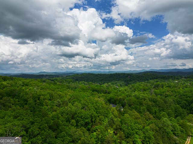 TRACT 1 Century Lane, Blue Ridge, GA 30513