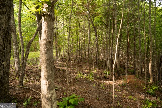 TRACT 1 Century Lane, Blue Ridge, GA 30513