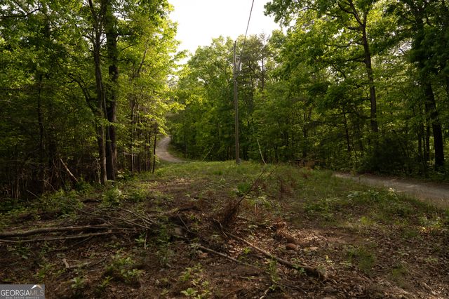 TRACT 1 Century Lane, Blue Ridge, GA 30513