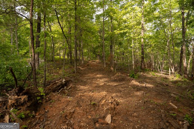 TRACT 1 Century Lane, Blue Ridge, GA 30513