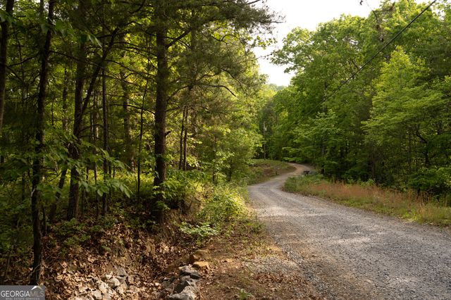 TRACT 1 Century Lane, Blue Ridge, GA 30513